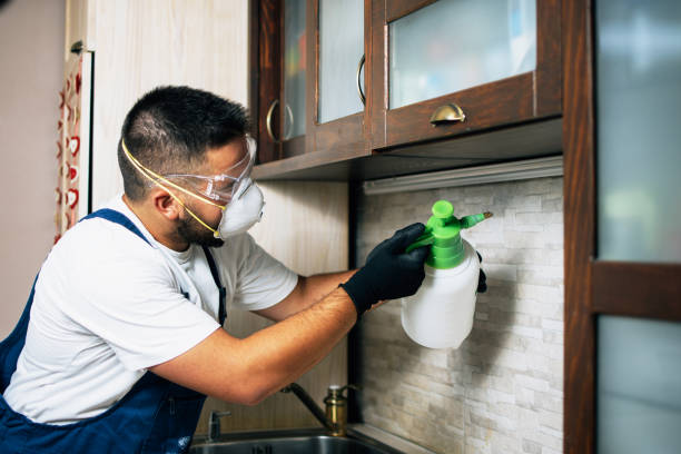 Pest Control for Restaurants in Buena Vista, VA