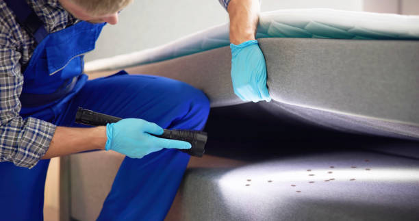 Best Residential Pest Control  in Buena Vista, VA