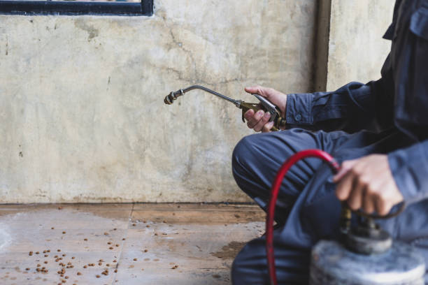 Best Best Pest Control Companies  in Buena Vista, VA